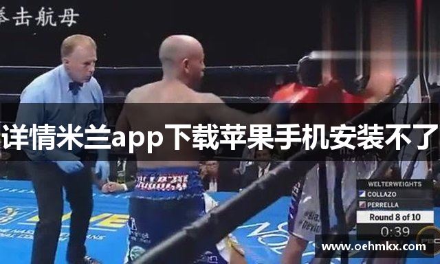 详情米兰app下载苹果手机安装不了